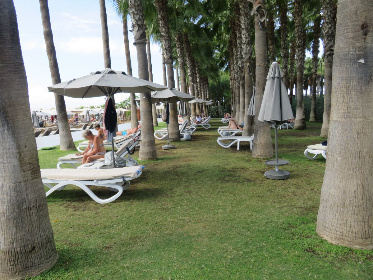 imagini hotel Miramare Beach Side